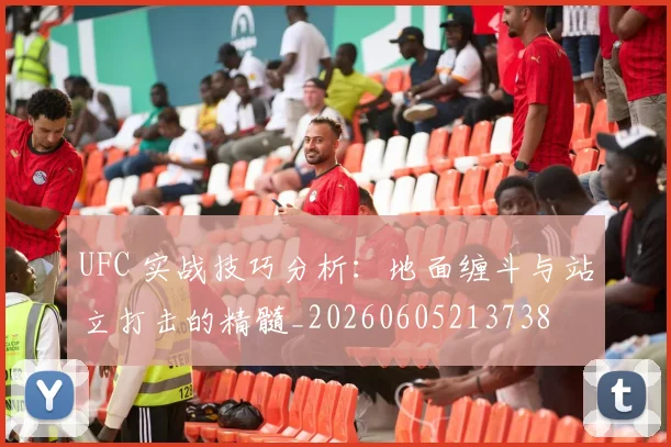 UFC 实战技巧分析:地面缠斗与站立打击的精髓_20260605213738