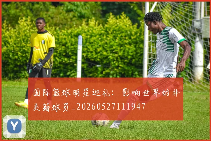 国际篮球明星巡礼:影响世界的非美籍球员_20260527111947